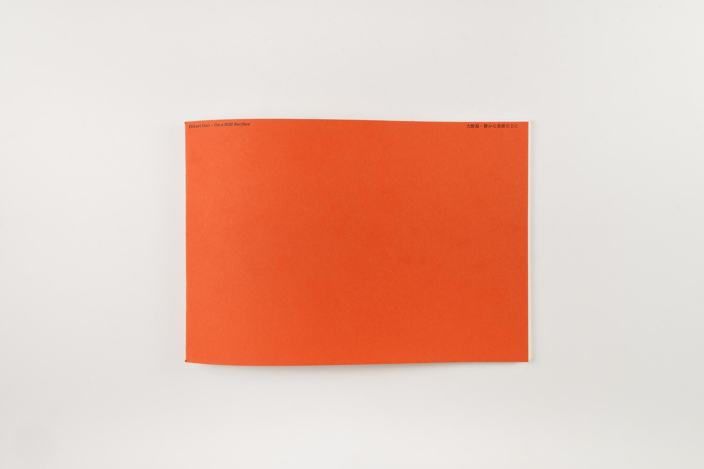 Hikari Ono - On a Still Surface