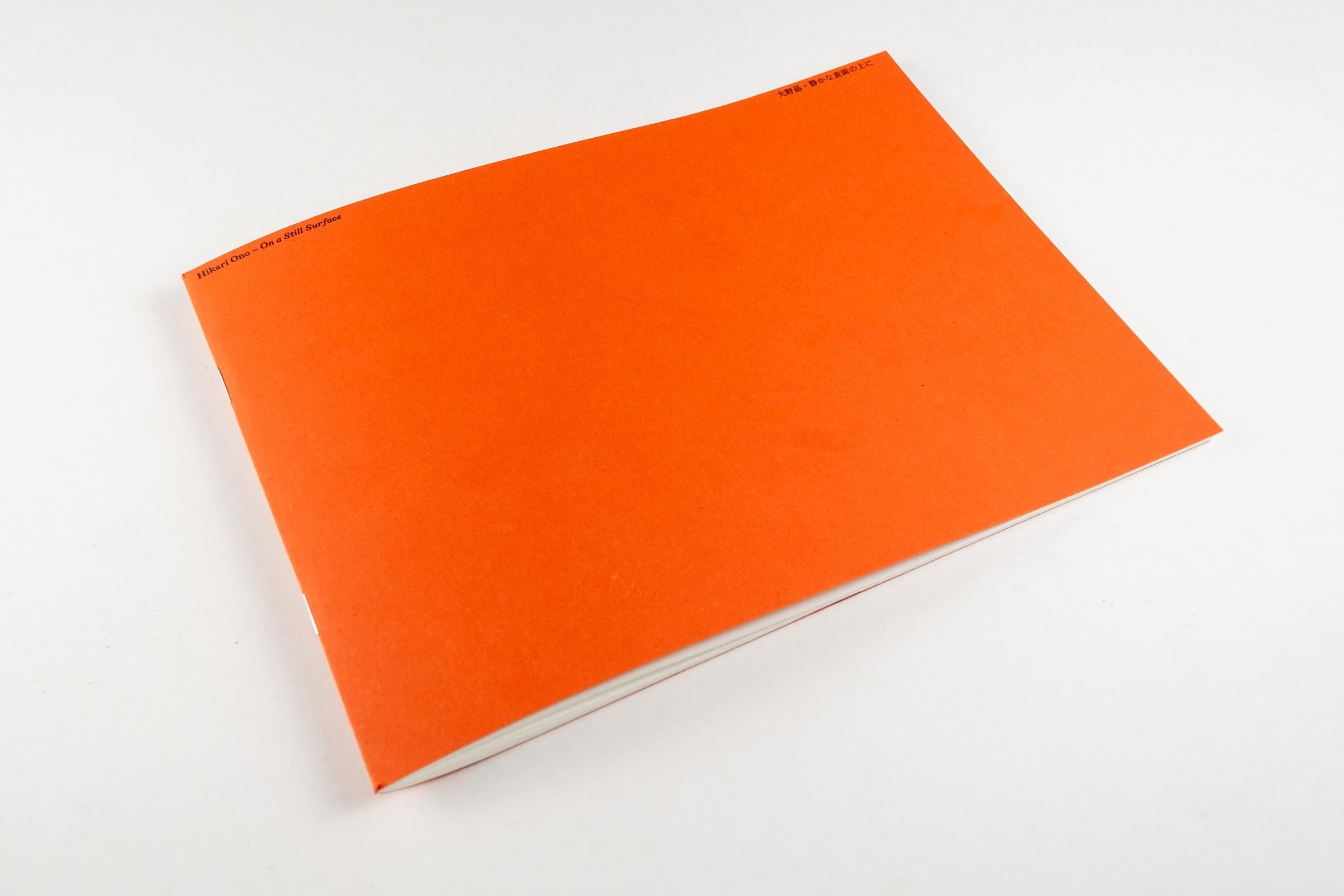 Hikari Ono - On a Still Surface