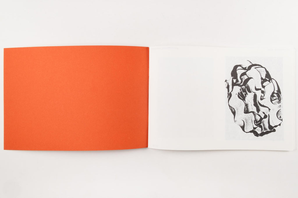 Hikari Ono - On a Still Surface