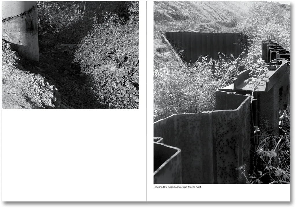 Raymond Meeks & George Weld - The Inhabitants