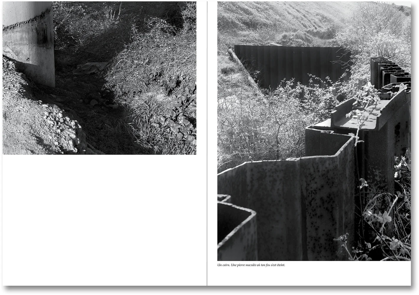 Raymond Meeks & George Weld - The Inhabitants