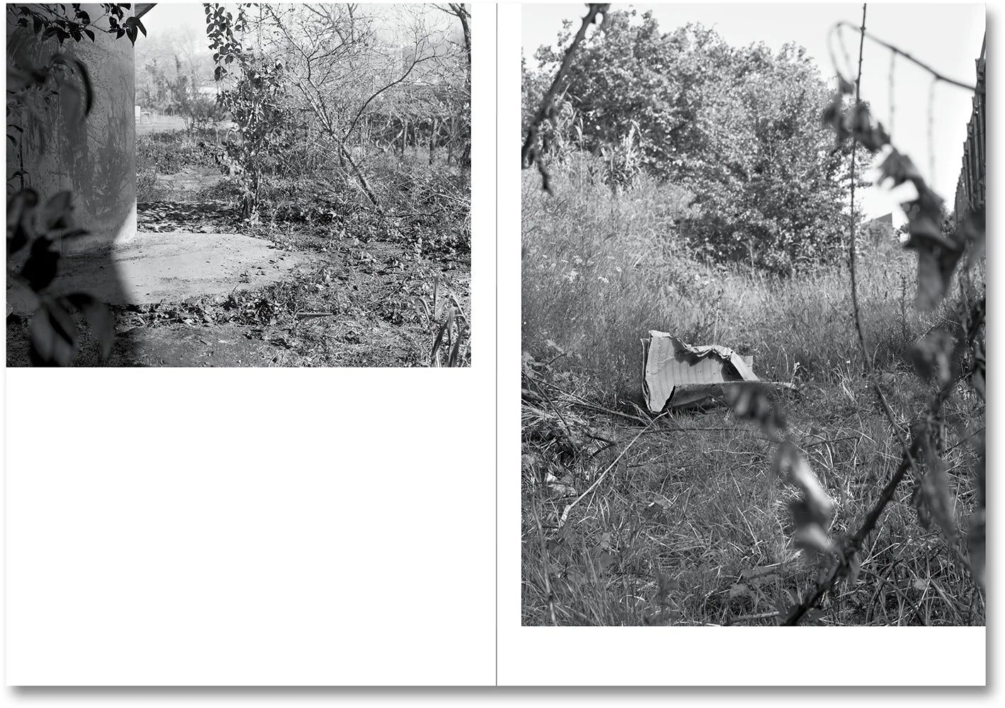 Raymond Meeks & George Weld - The Inhabitants