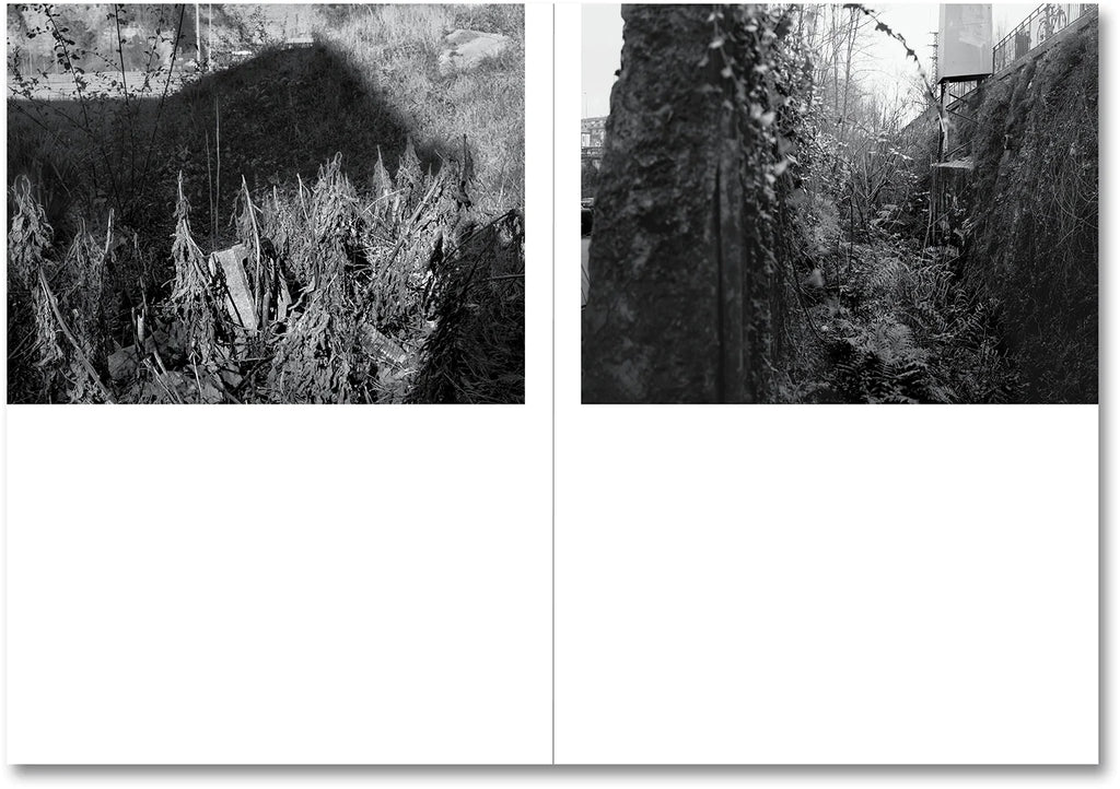 Raymond Meeks & George Weld - The Inhabitants