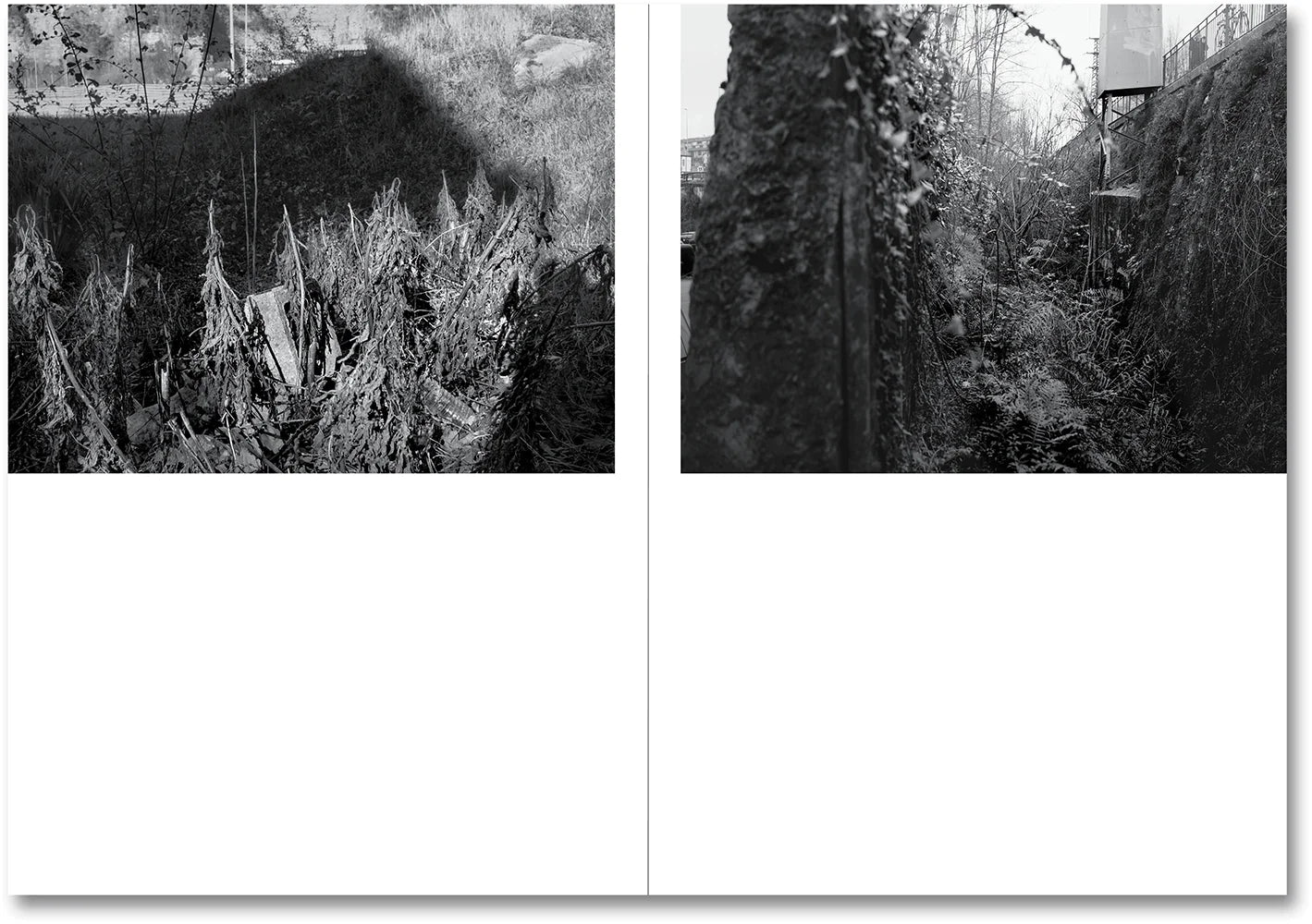 Raymond Meeks & George Weld - The Inhabitants