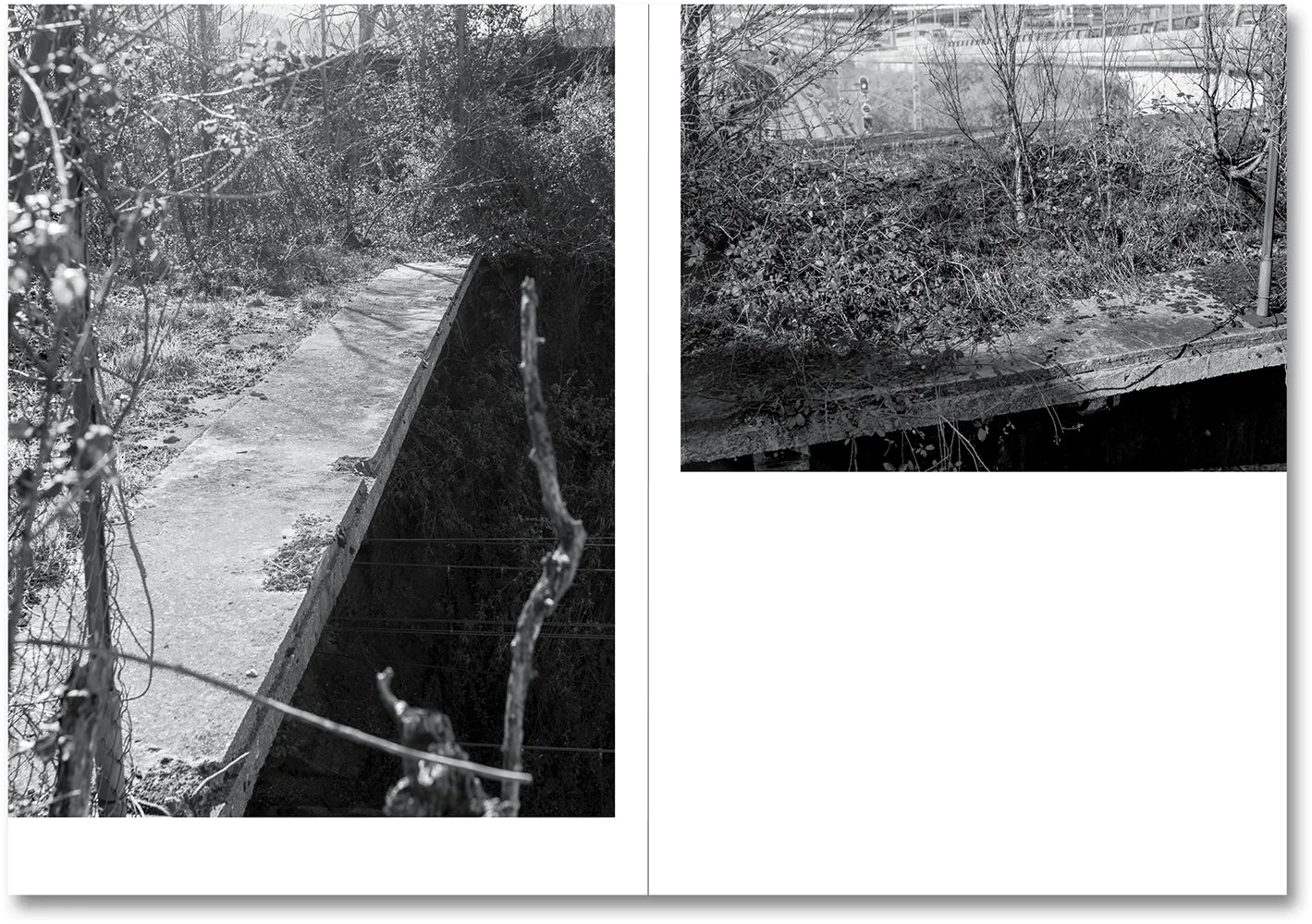 Raymond Meeks & George Weld - The Inhabitants