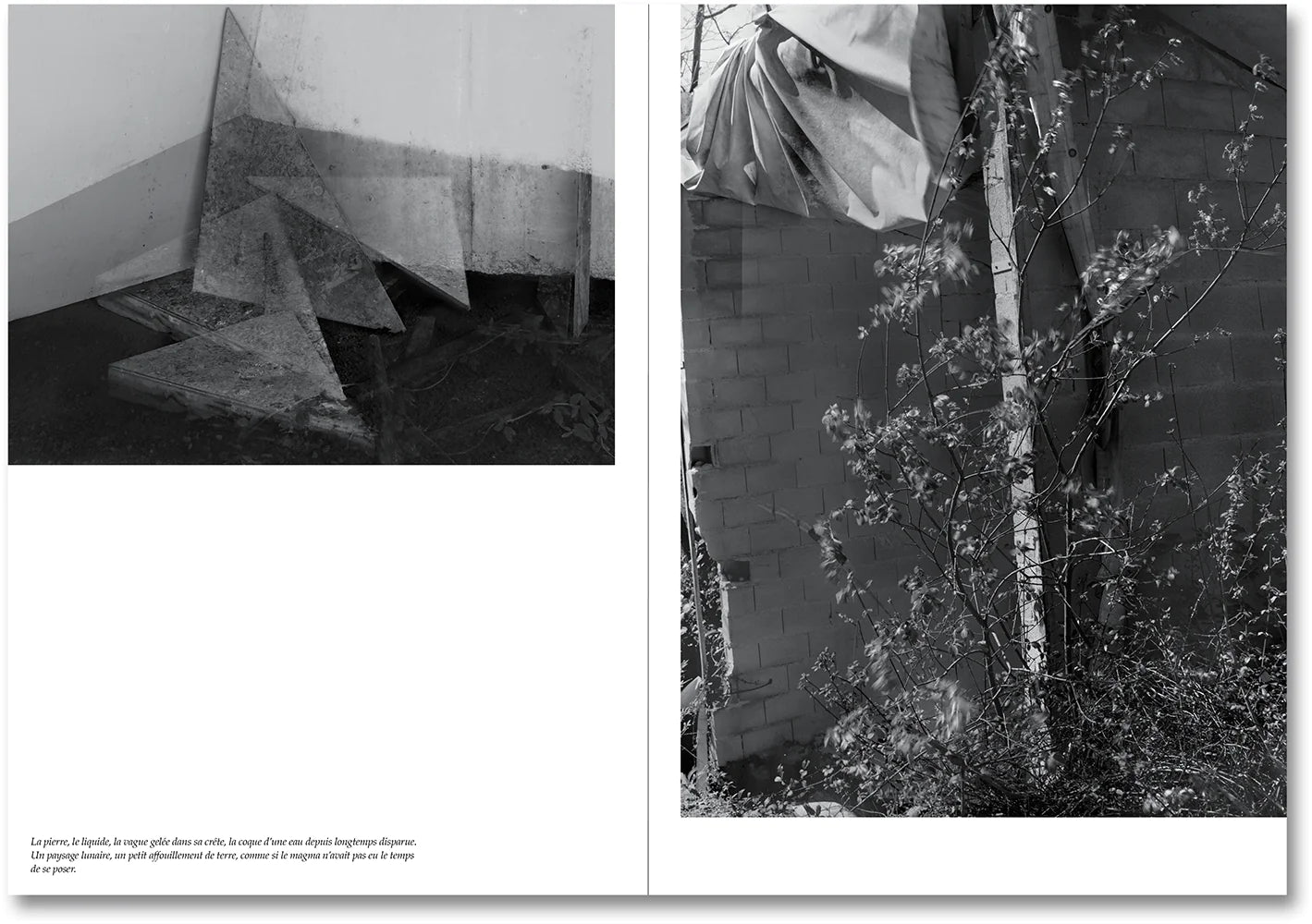 Raymond Meeks & George Weld - The Inhabitants