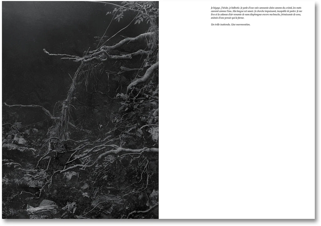 Raymond Meeks & George Weld - The Inhabitants