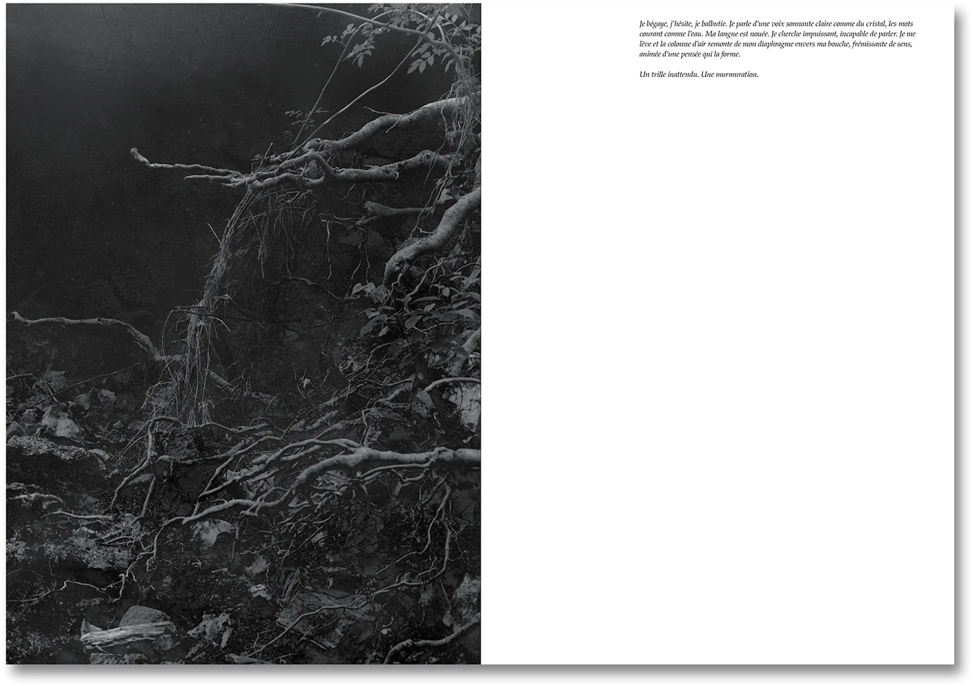 Raymond Meeks & George Weld - The Inhabitants