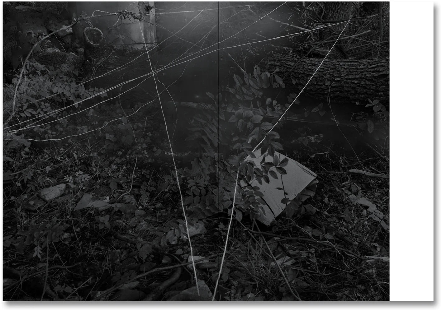 Raymond Meeks & George Weld - The Inhabitants