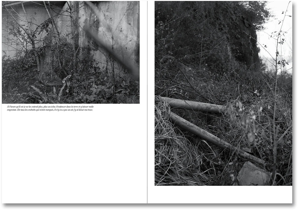 Raymond Meeks & George Weld - The Inhabitants