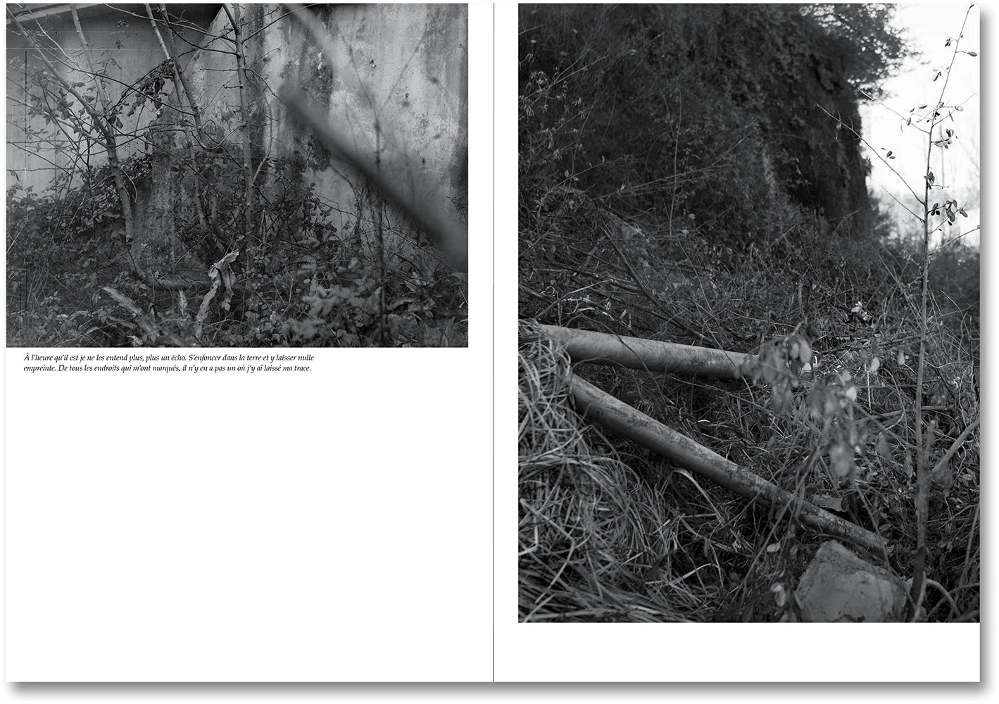 Raymond Meeks & George Weld - The Inhabitants