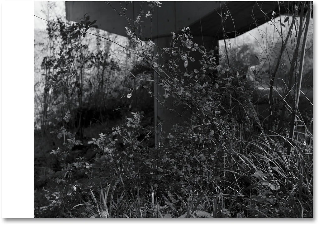 Raymond Meeks & George Weld - The Inhabitants