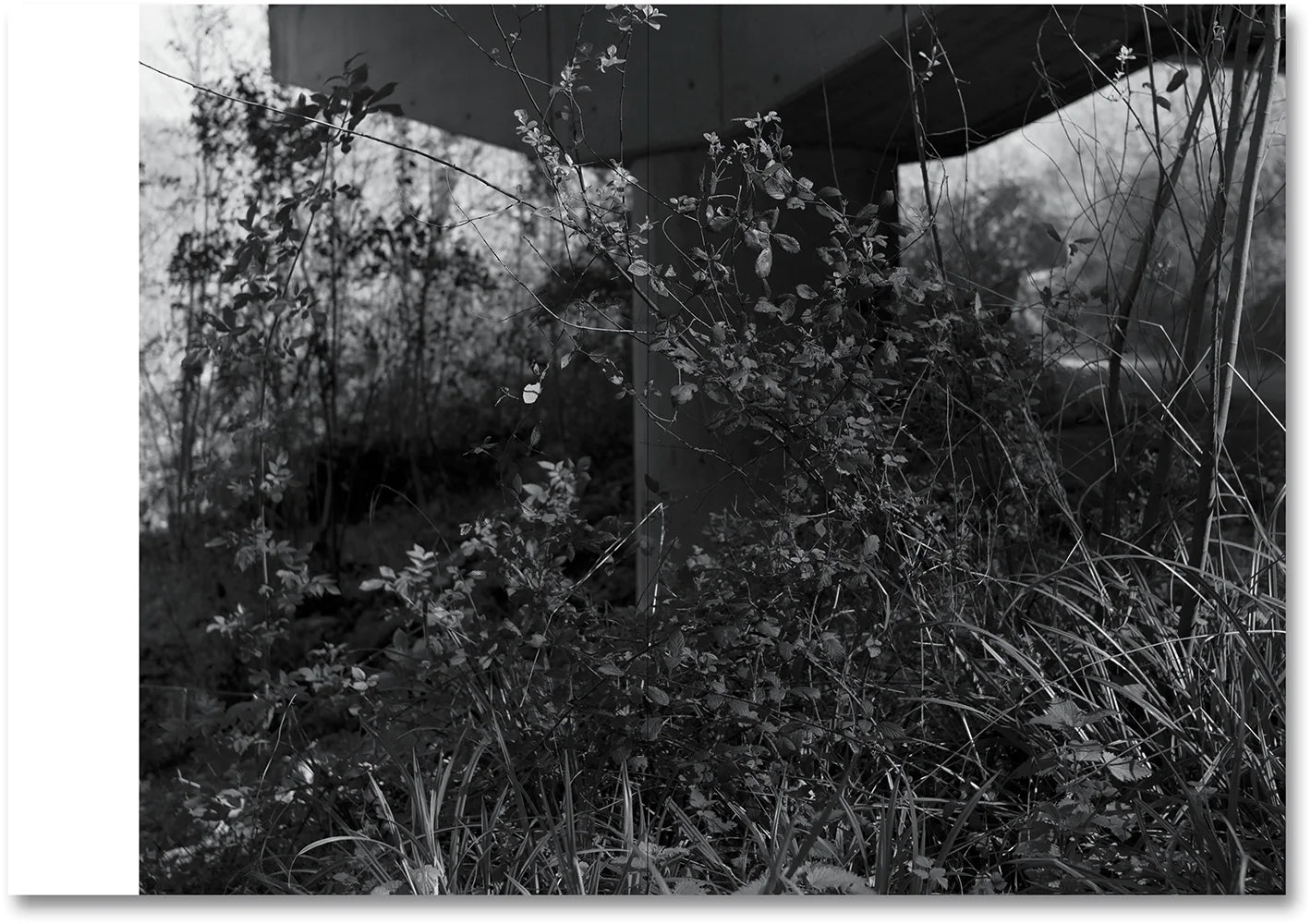 Raymond Meeks & George Weld - The Inhabitants