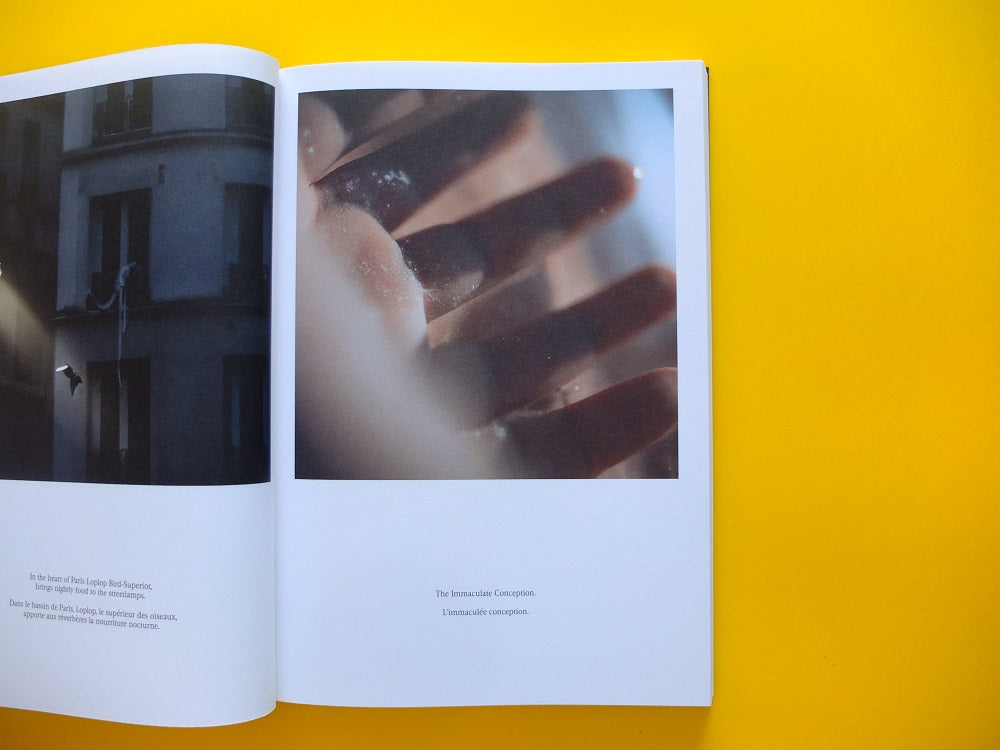 Grégory Chatonsky - La Machine 100 Têtes