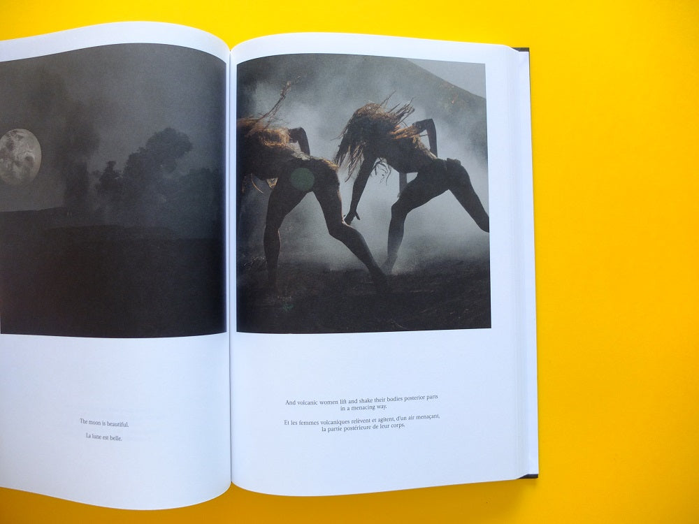 Grégory Chatonsky - La Machine 100 Têtes