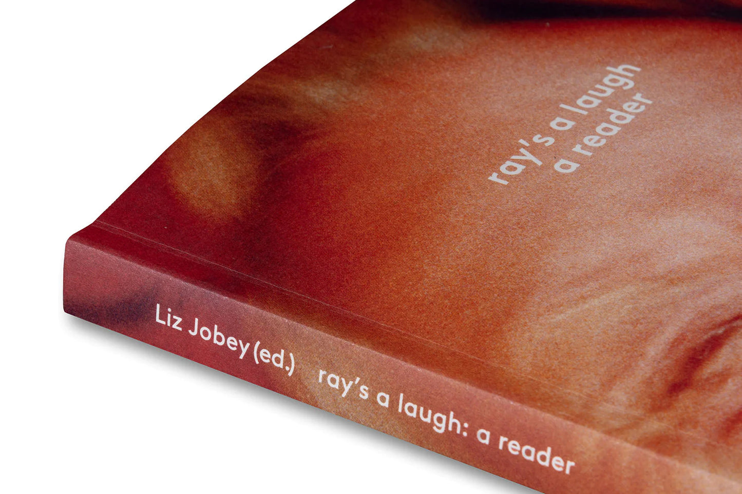 Liz Jobey - Ray's a Laugh: A Reader