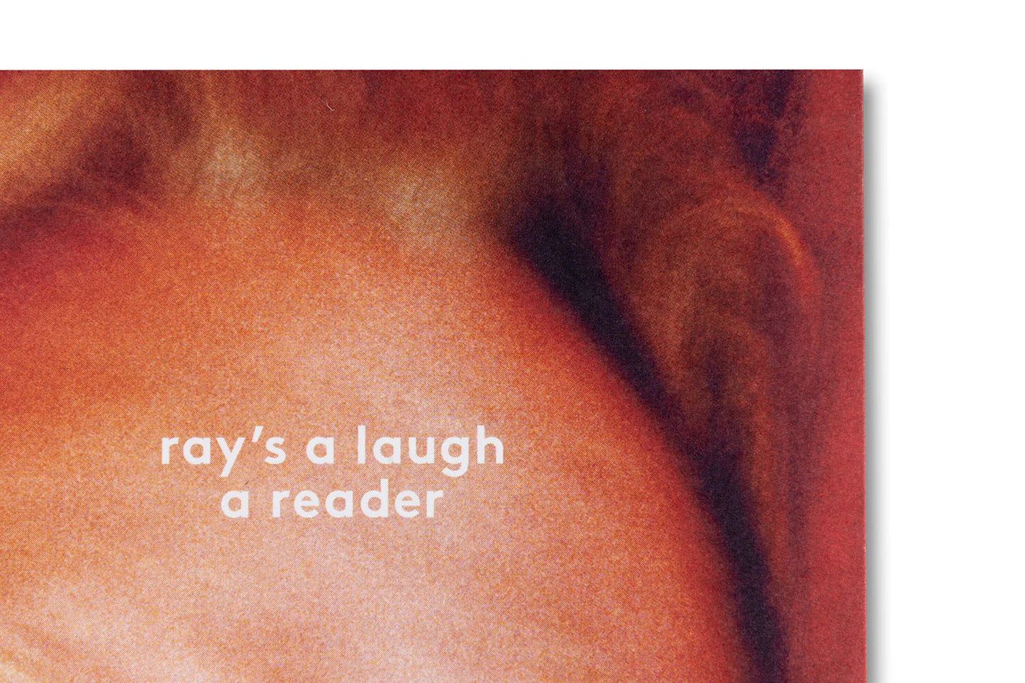 Liz Jobey - Ray's a Laugh: A Reader