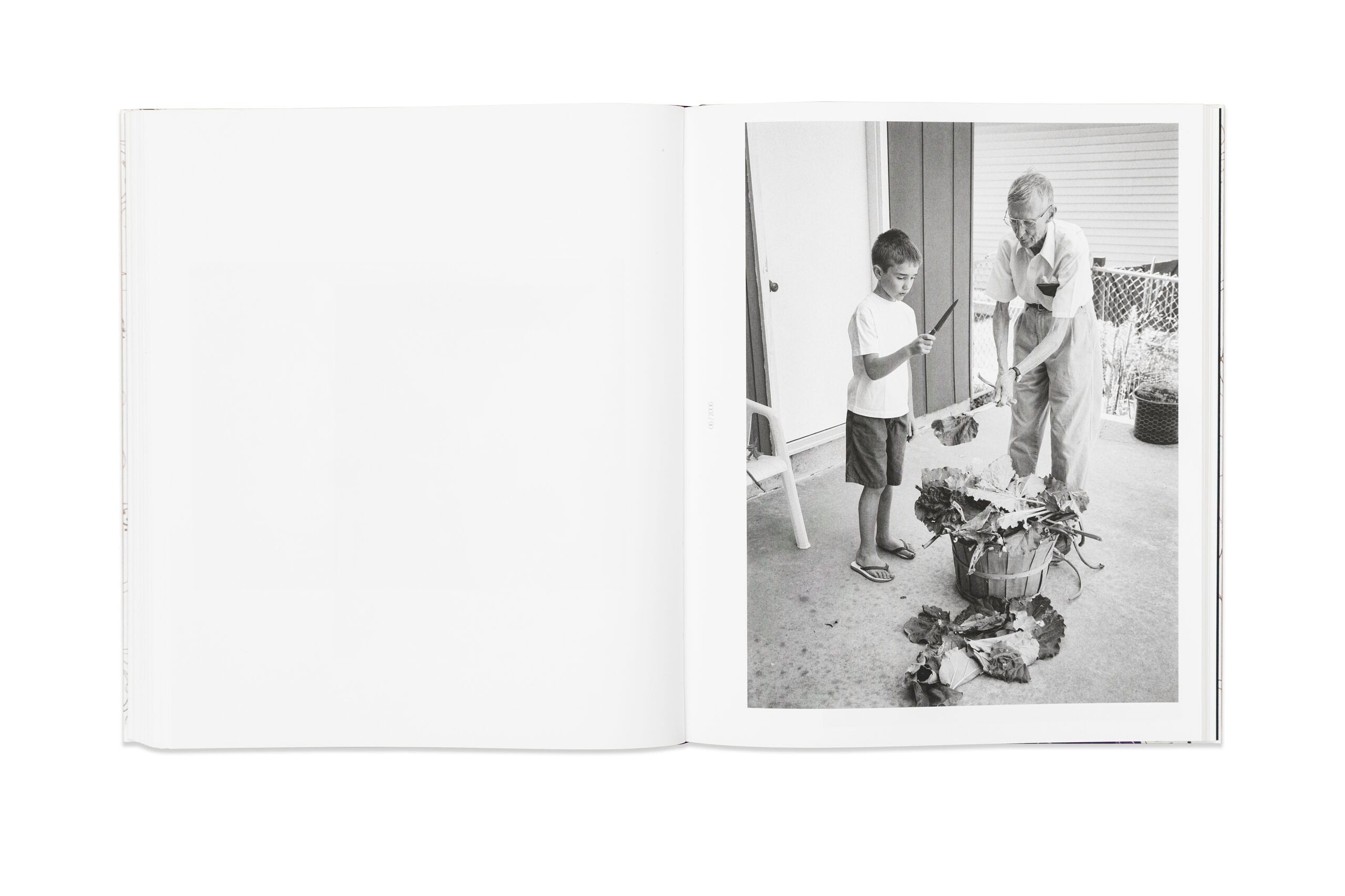 Deanna Dikeman -  Relative Moments