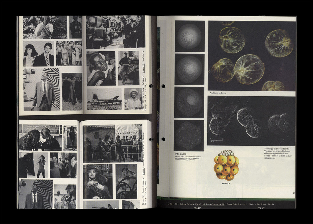 Revue Faire - N°53 "Graphic Designers as Iconographers"