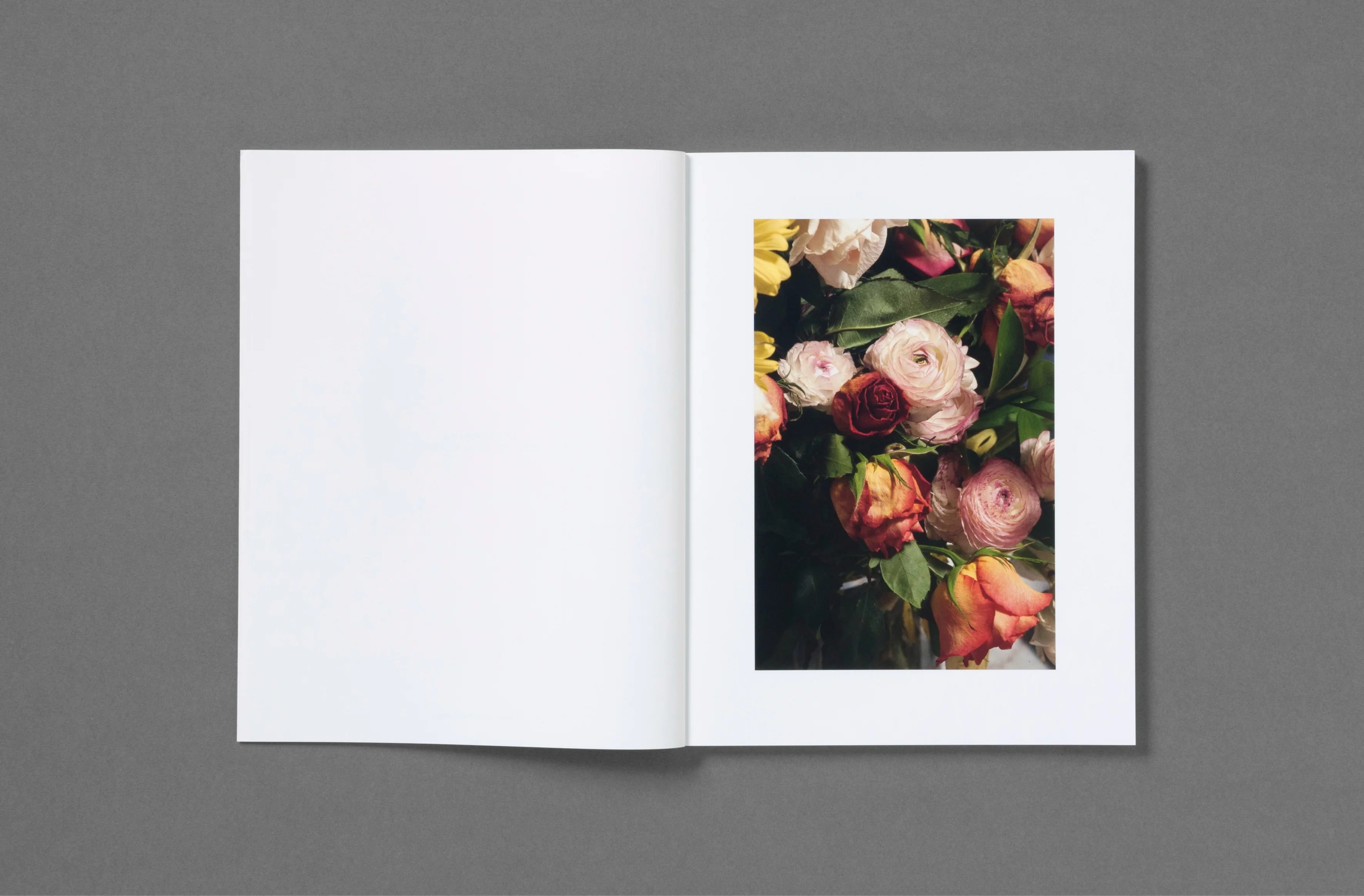 Roe Ethridge - Rude in the Good Way