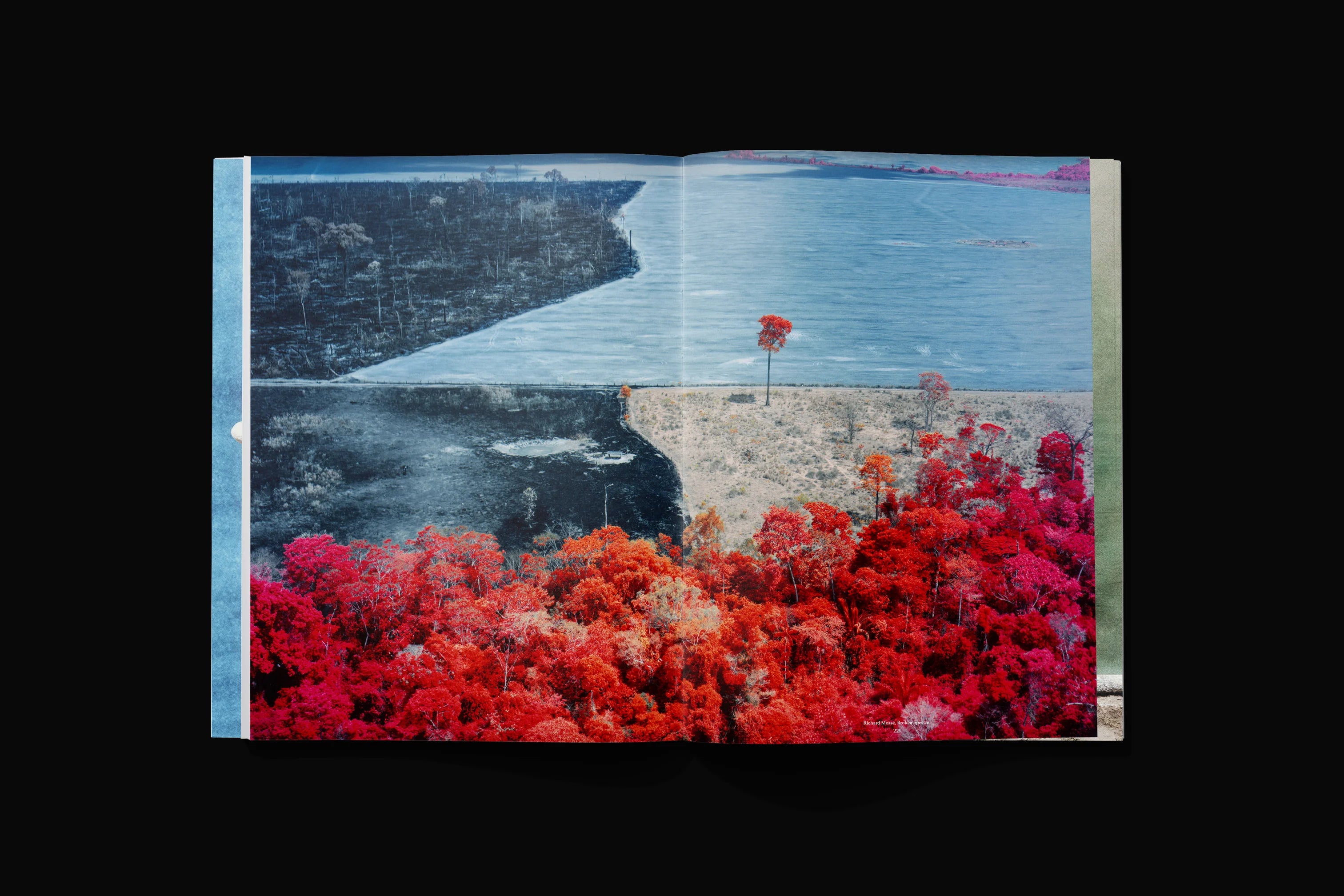 Sixteen Journal - Volume 13