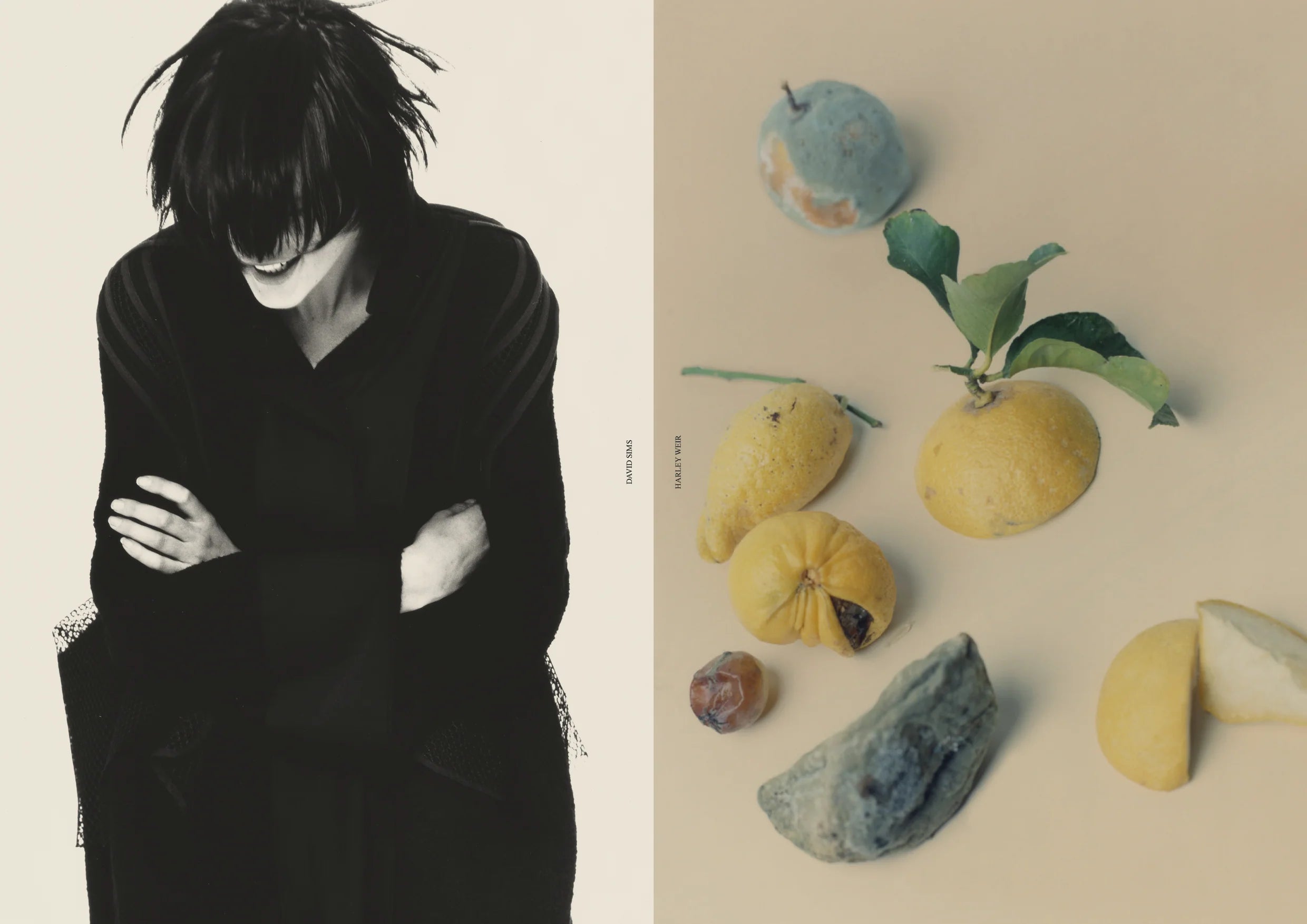 Study - VOLUME 05 - 11.23 - On Camille Bidault-Waddington