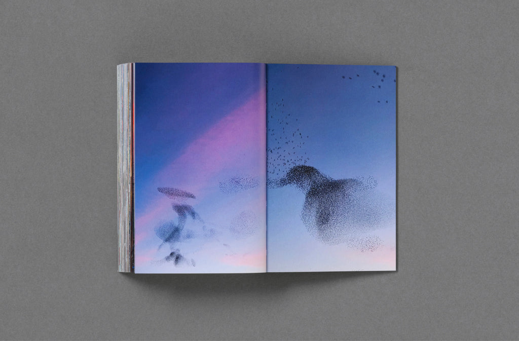 Sam Youkilis – Somewhere 2017-2023