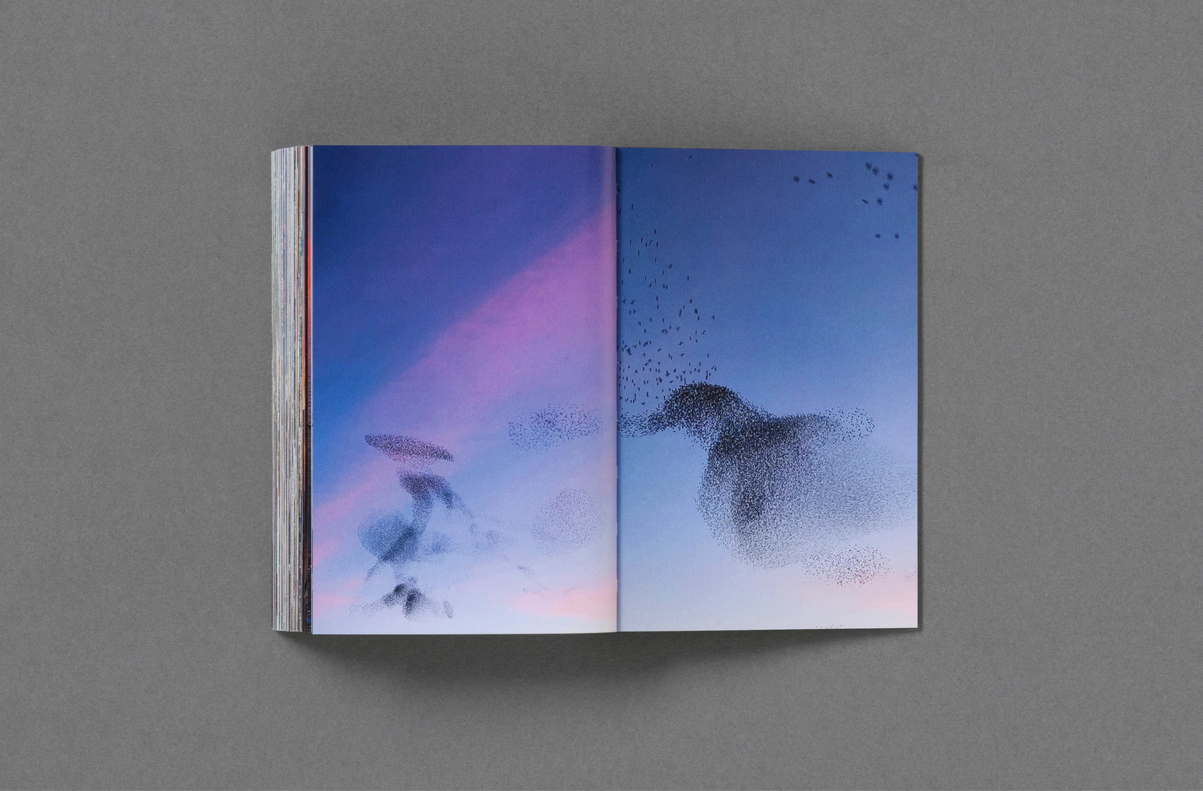 Sam Youkilis – Somewhere 2017-2023