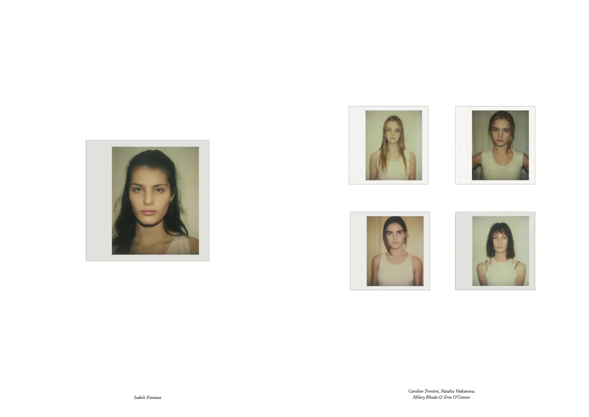 Study - VOLUME 8 - 09.24 - On Models as Cultural Markers