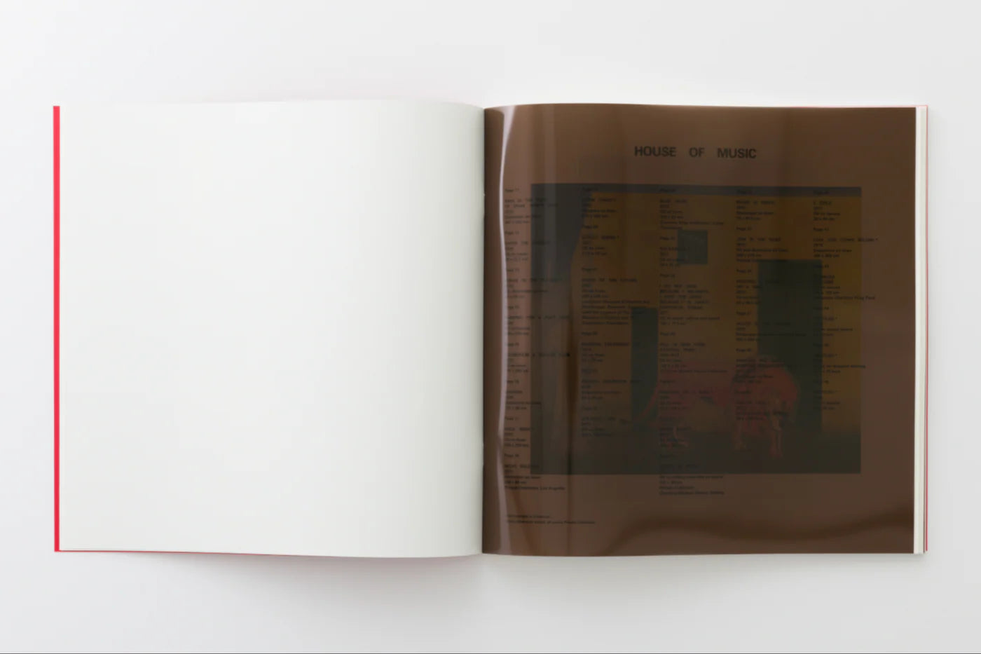 Peter Doig - House of Music