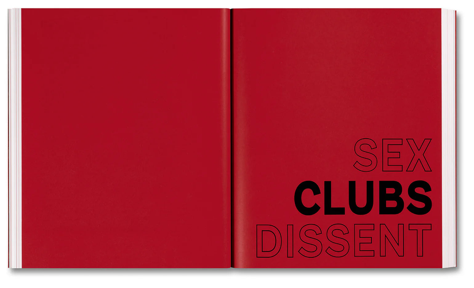 Amelia Abraham - Sex, Clubs, Dissent: Visualising Queer Nightlife