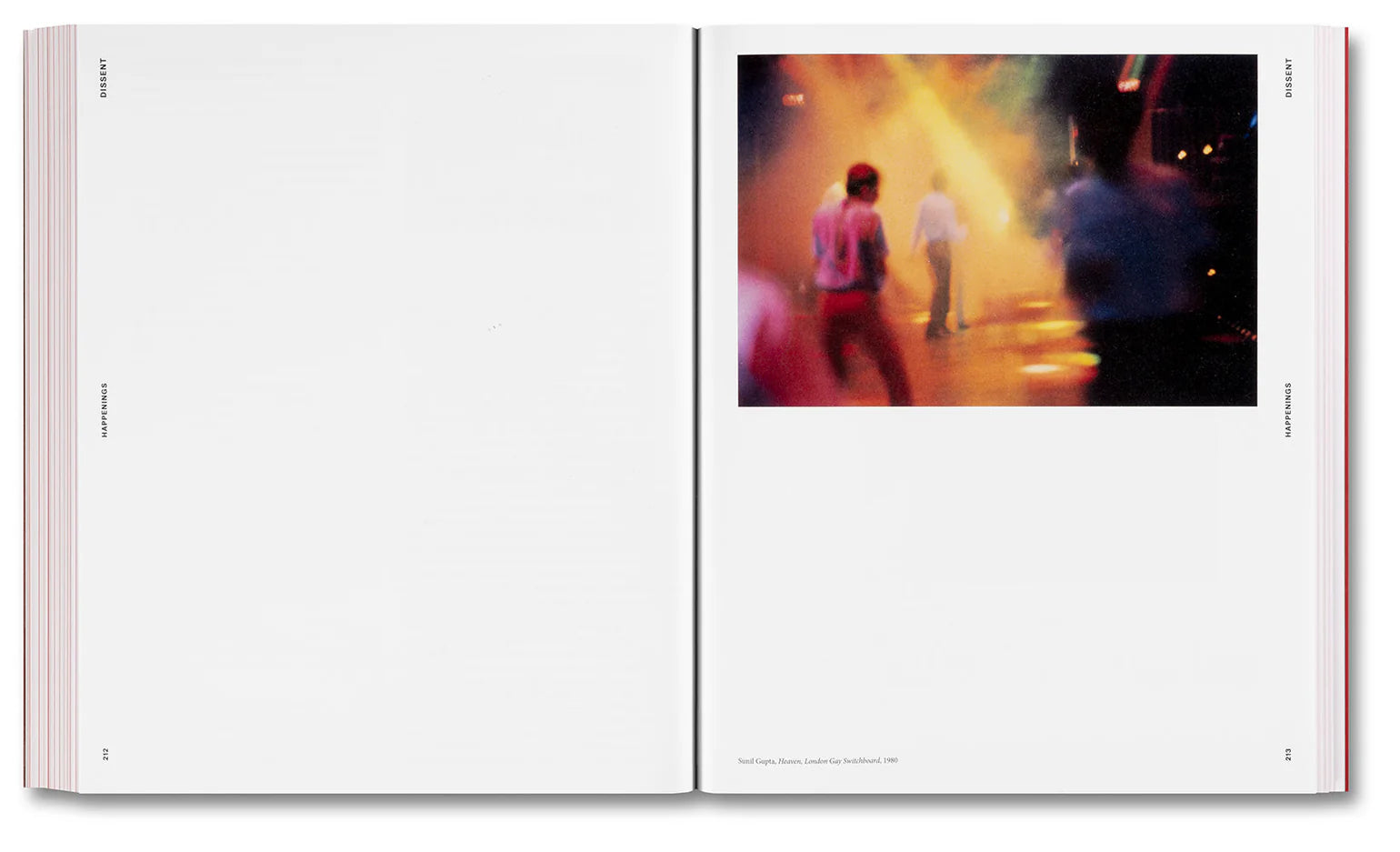 Amelia Abraham - Sex, Clubs, Dissent: Visualising Queer Nightlife