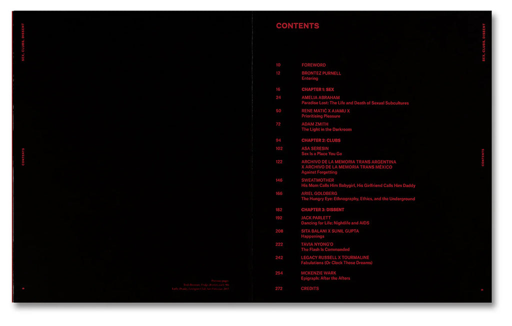 Amelia Abraham - Sex, Clubs, Dissent: Visualising Queer Nightlife