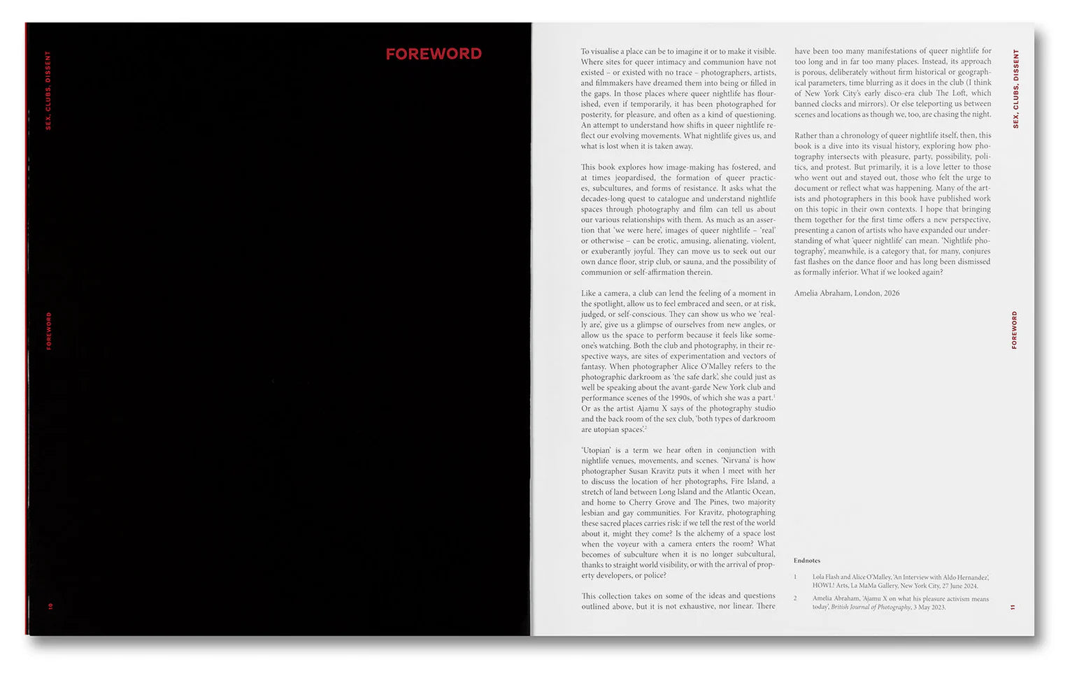 Amelia Abraham - Sex, Clubs, Dissent: Visualising Queer Nightlife