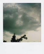 Nobuyoshi Araki <br><em>Sky</em>, 2006-2009