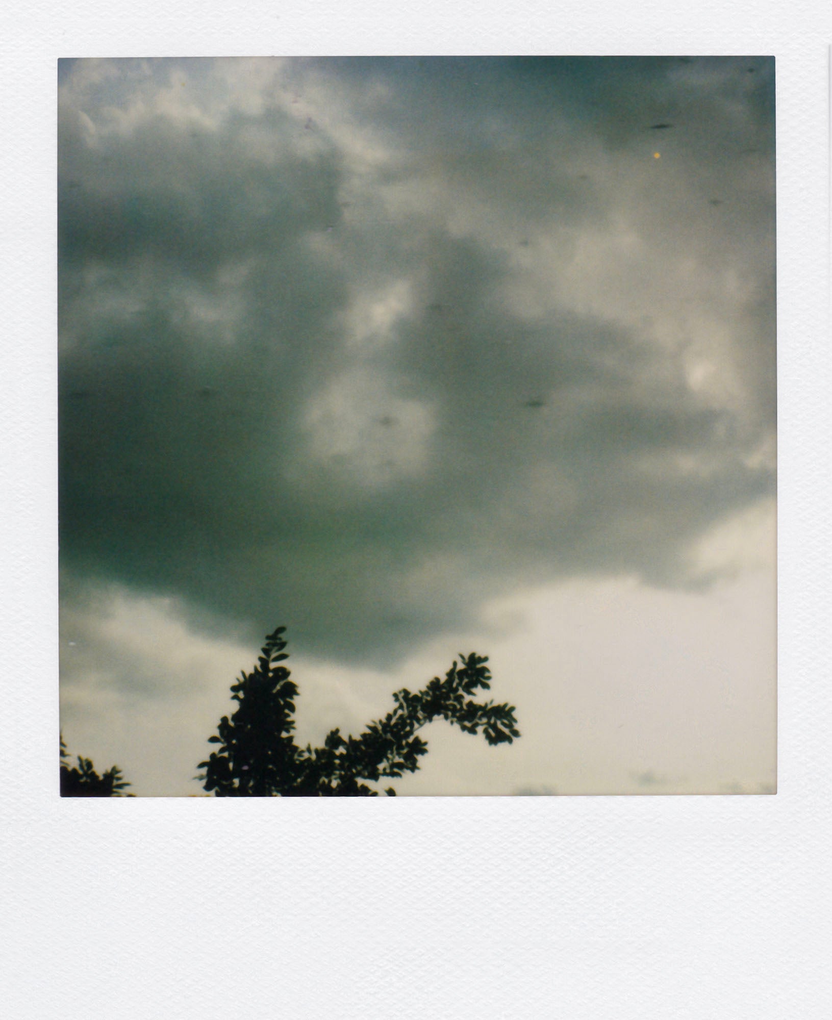 Nobuyoshi Araki <br><em>Sky</em>, 2006-2009