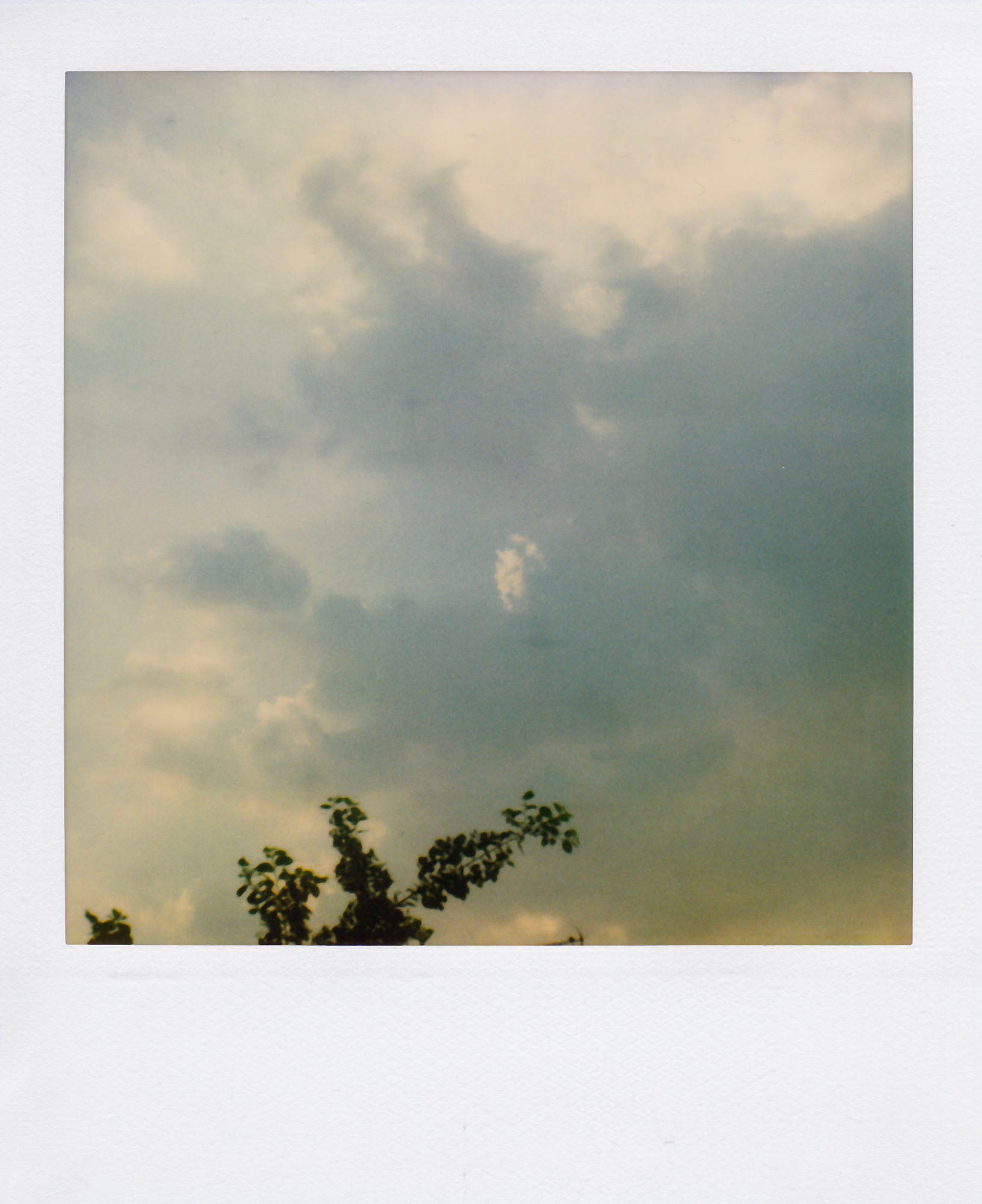Nobuyoshi Araki <br><em>Sky</em>, 2006-2009