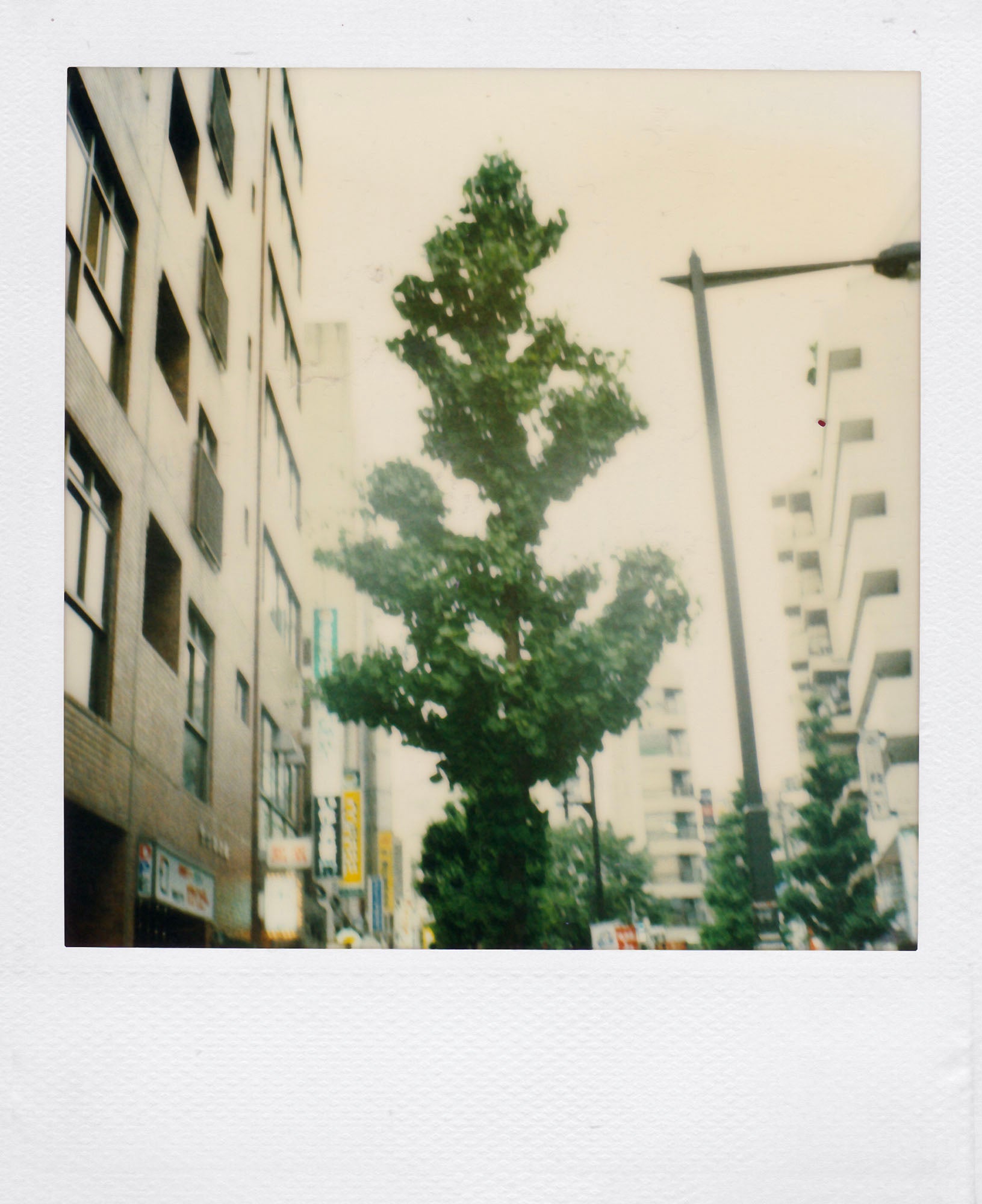 Nobuyoshi Araki <br><em>Sky</em>, 2006-2009