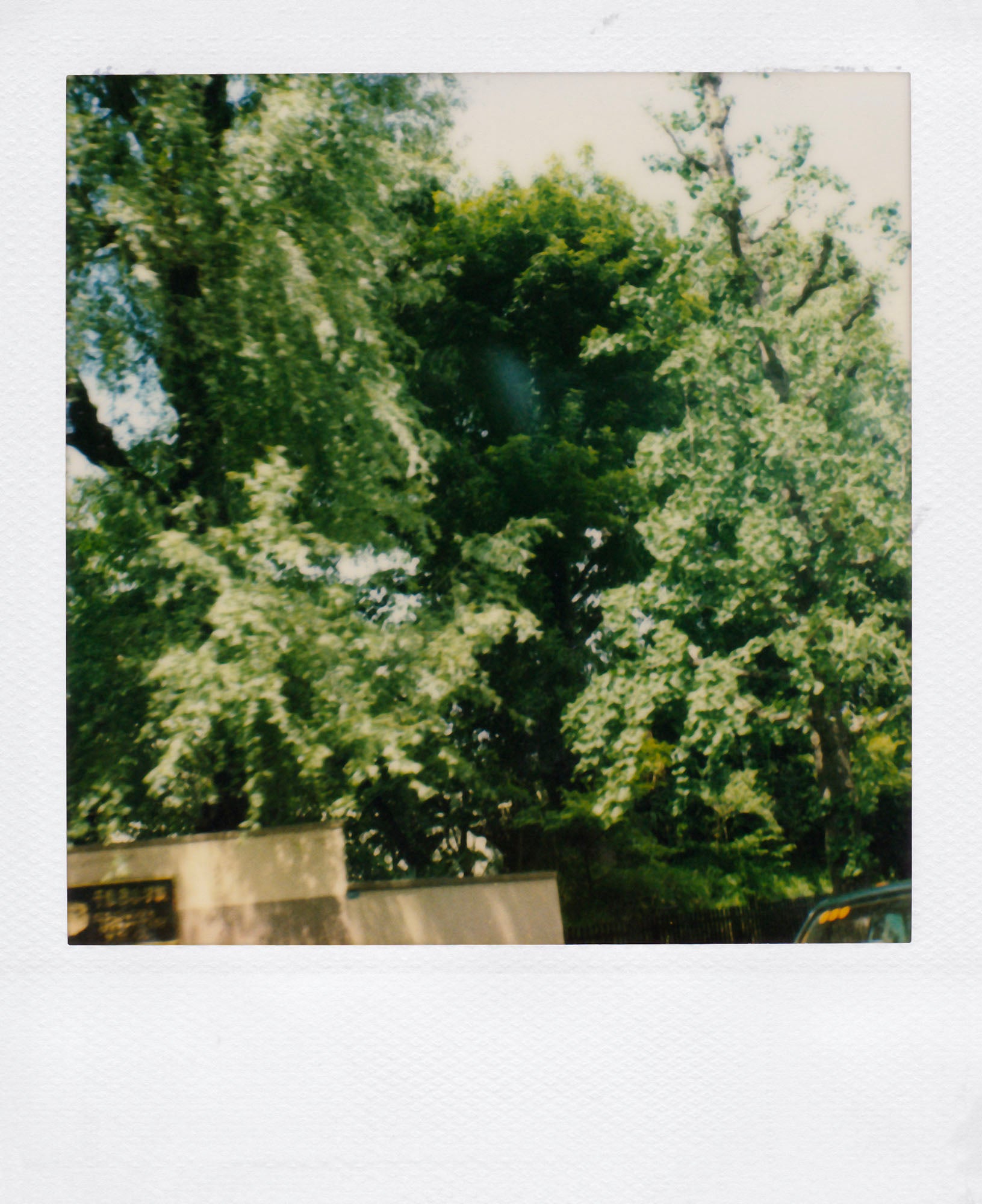 Nobuyoshi Araki <br><em>Sky</em>, 2006-2009