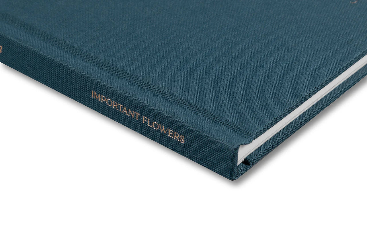 Miranda Barnes - Social Season