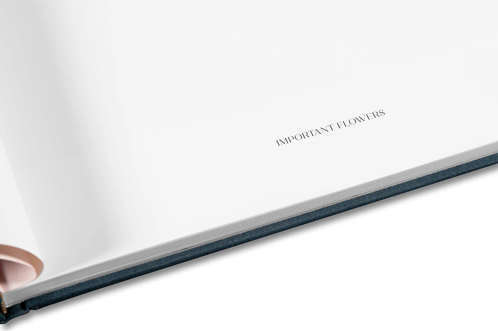 Miranda Barnes - Social Season