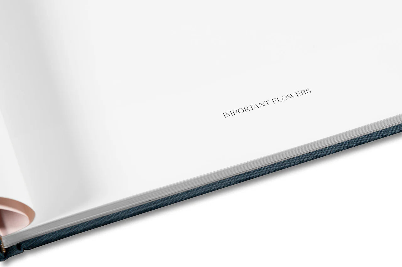 Miranda Barnes - Social Season