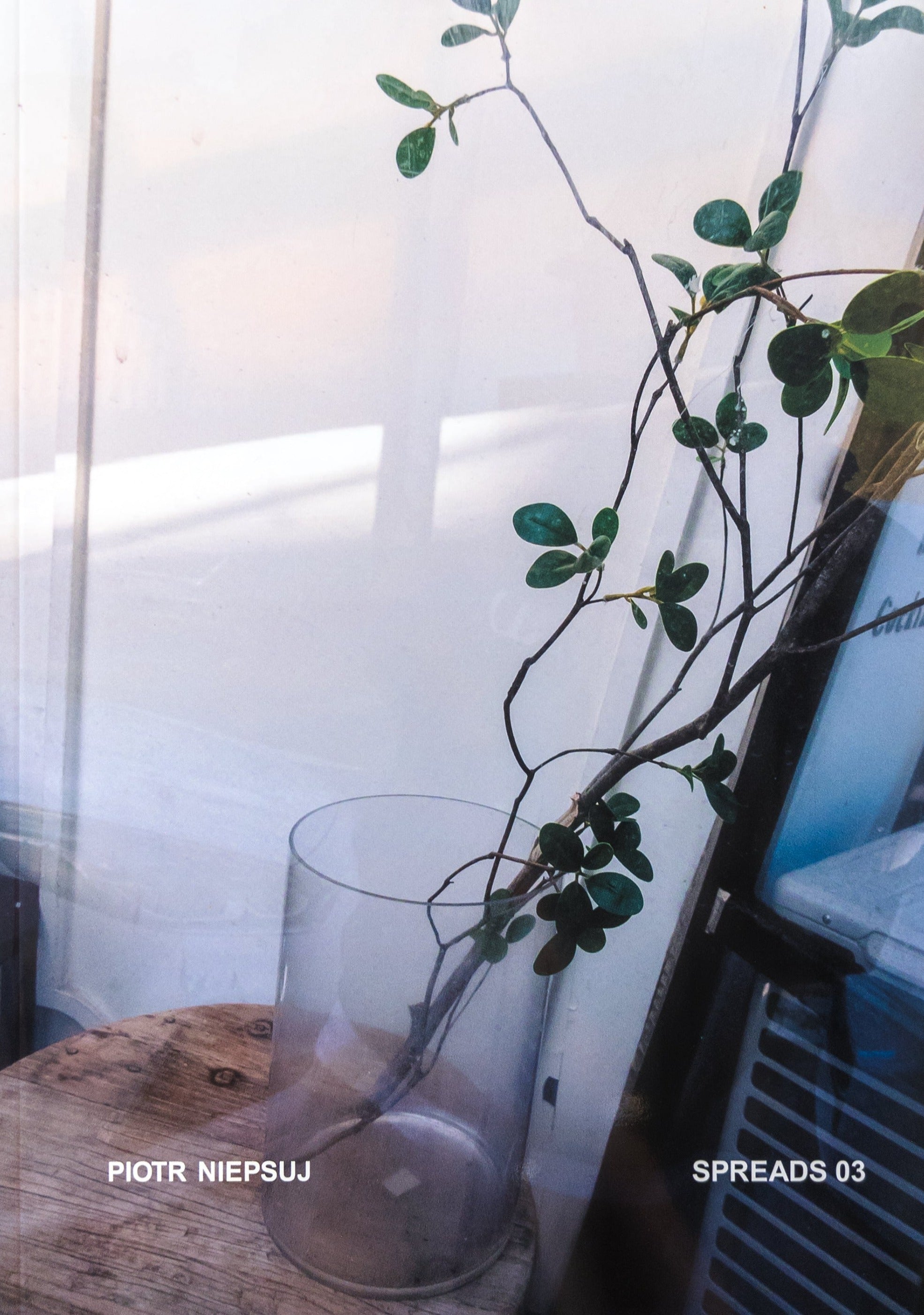 Piotr Niepsuj - Spreads 03
