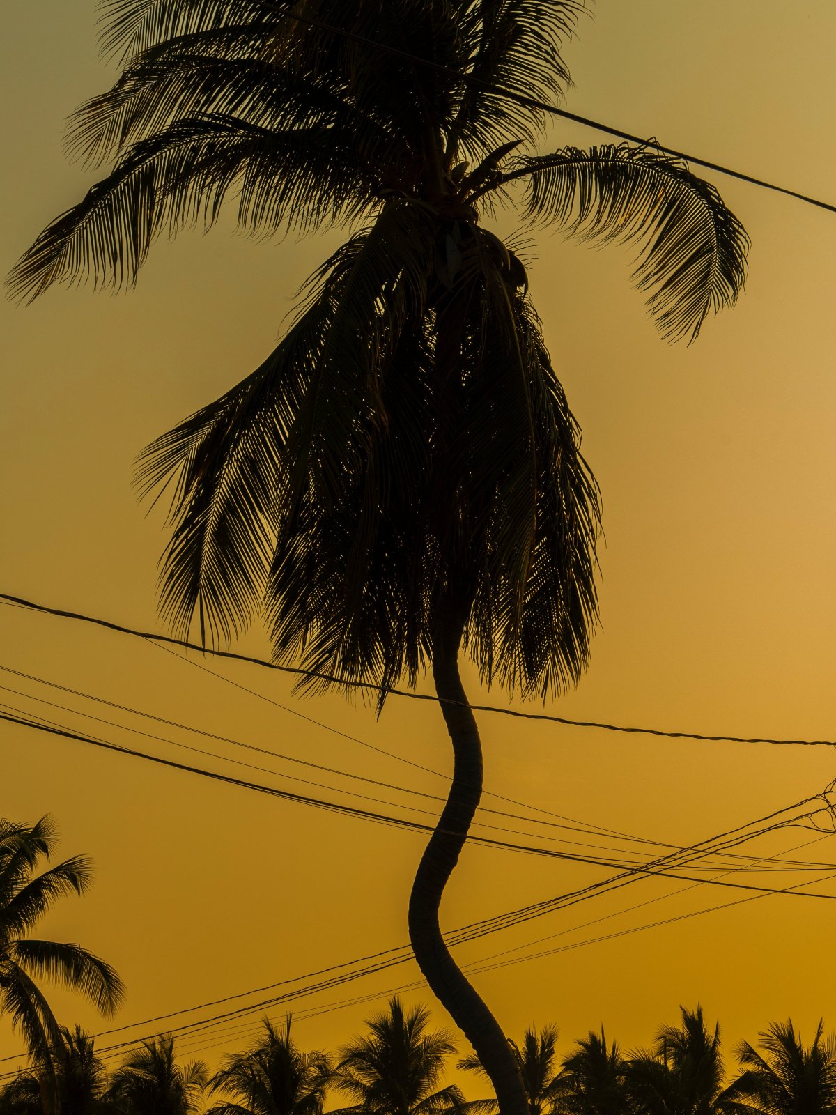 Romain Laprade - Sunset, Puerto Escondido, 2023