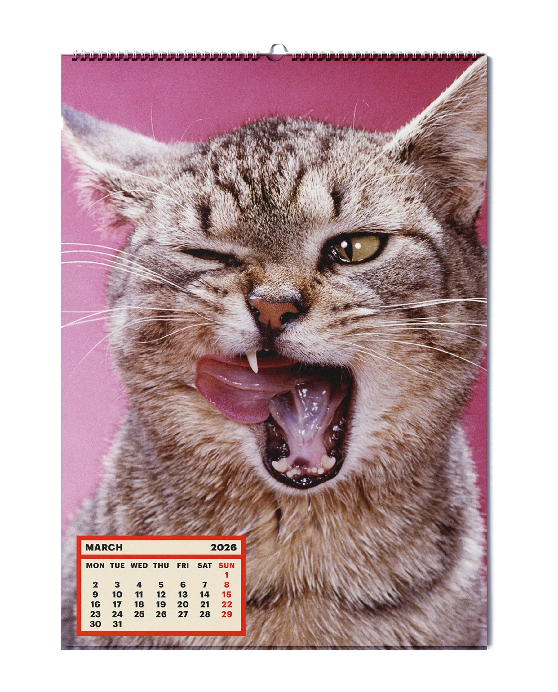 Toilet Paper - Calendar 2026