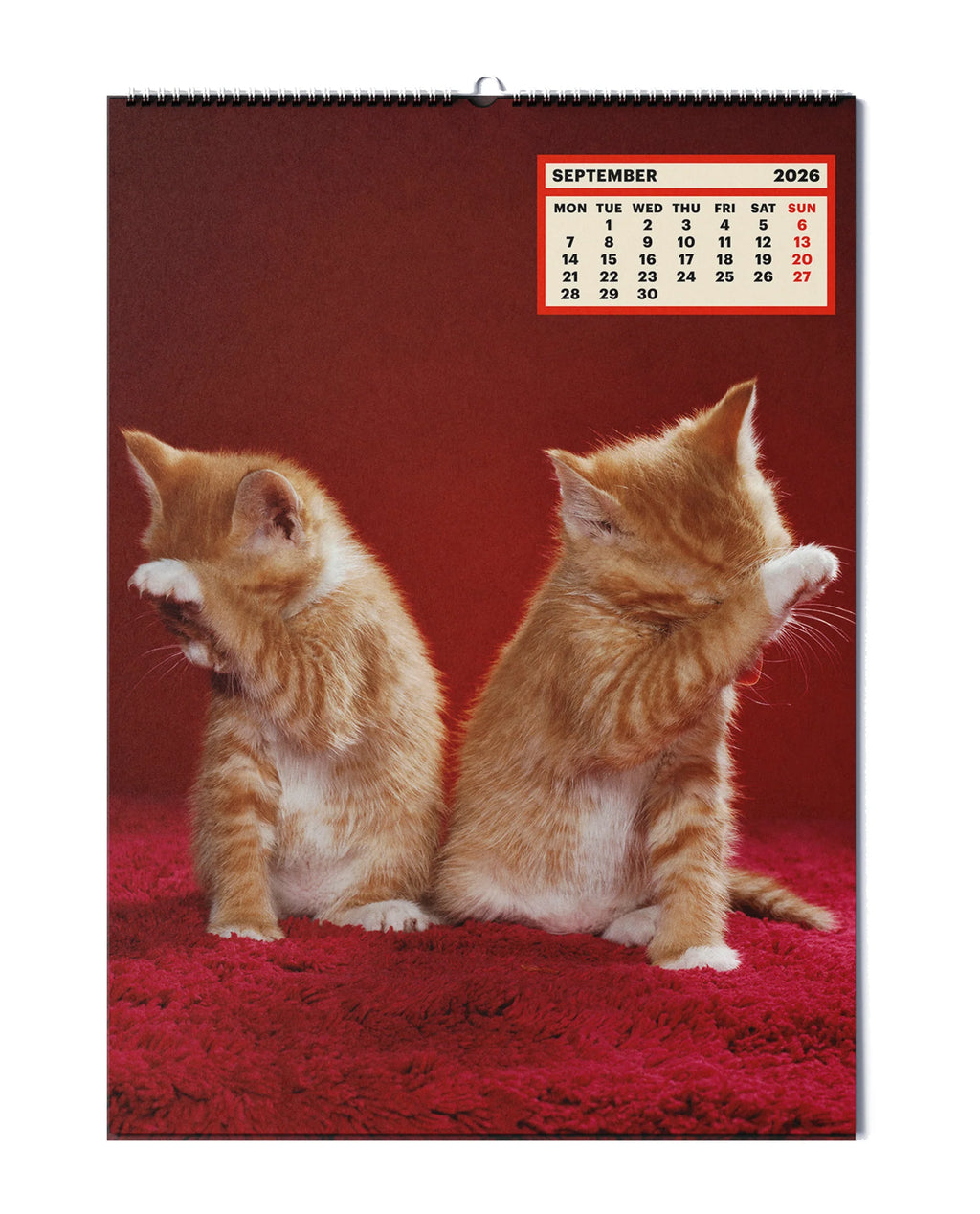 Toilet Paper - Calendar 2026