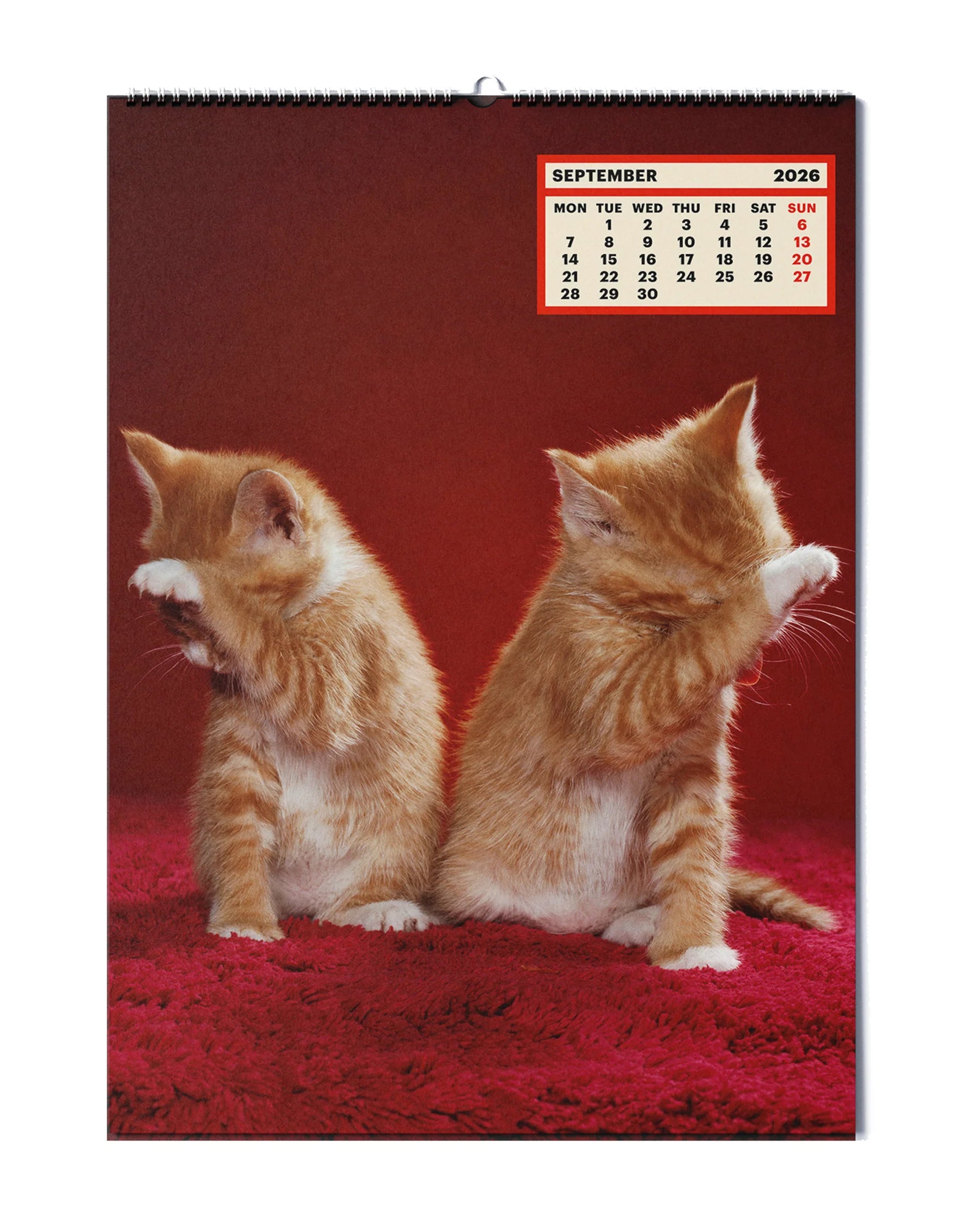 Toilet Paper - Calendar 2026