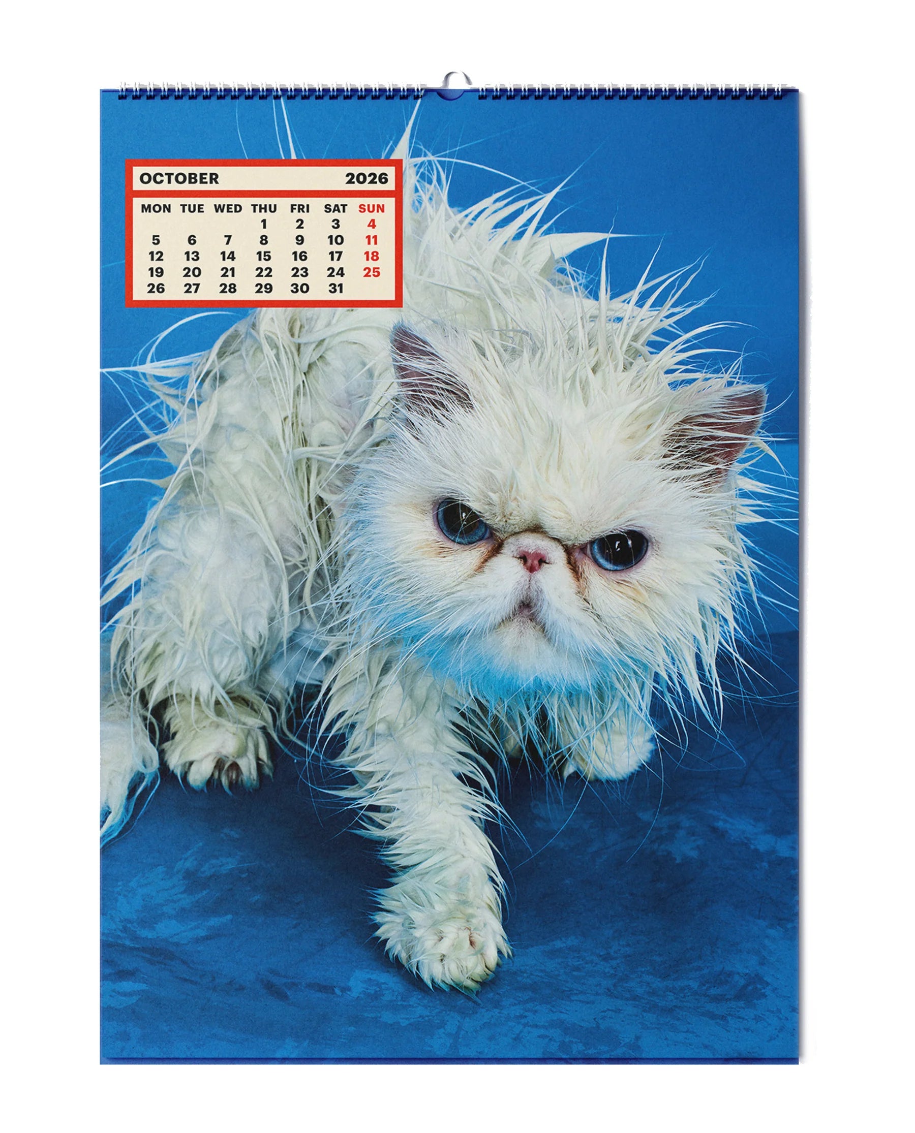 Toilet Paper - Calendar 2026