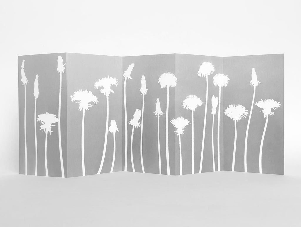 Jochen Lempert - Hakage