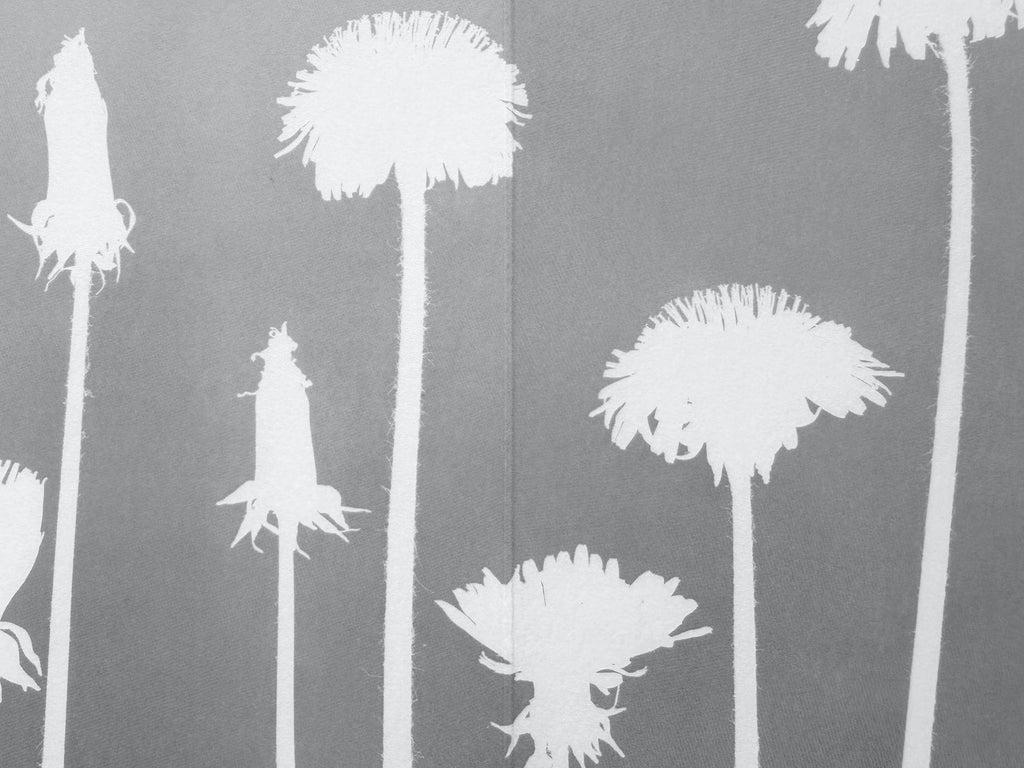 Jochen Lempert - Hakage
